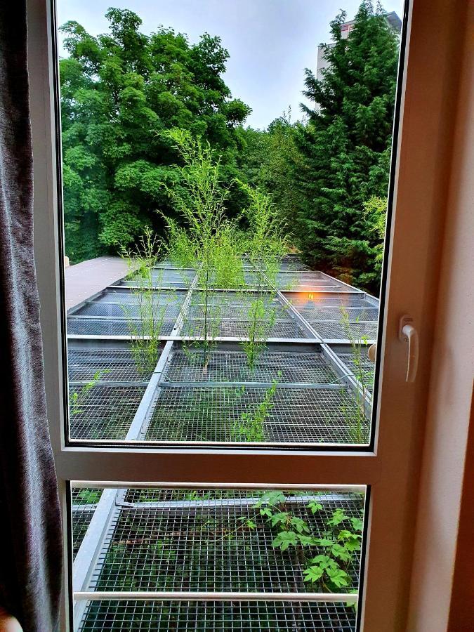 Papageiennest Apartment Dresden Ngoại thất bức ảnh